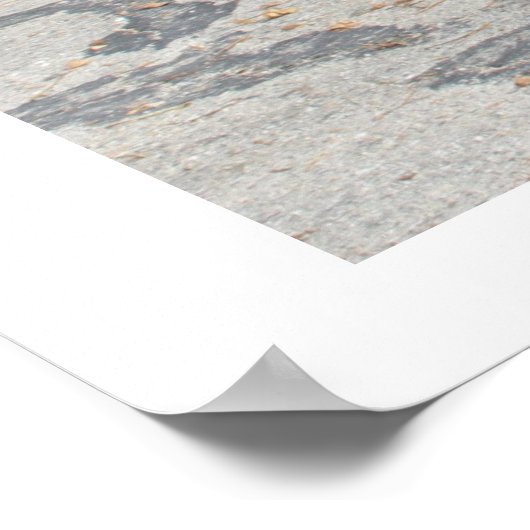 ProjectCamaro.comのブラックカマロ ポスター (角)