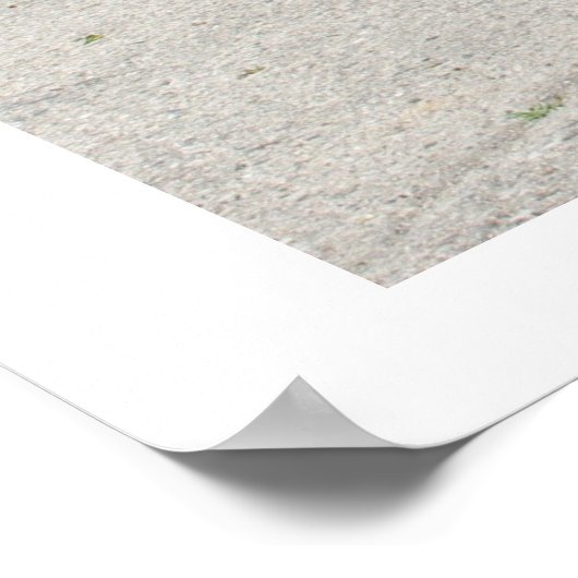 ProjectCamaro.com 6月11日の会議 ポスター (角)