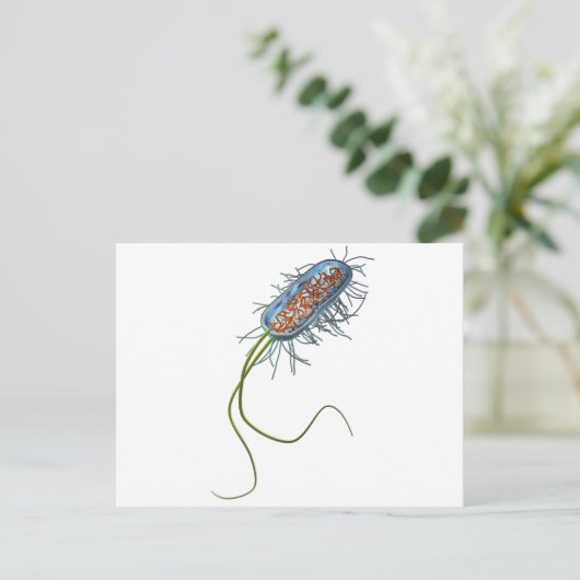 Prokaryotic細胞 ポストカード (スタンド正面)