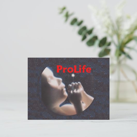 ProLifeはがき ポストカード (スタンド正面)