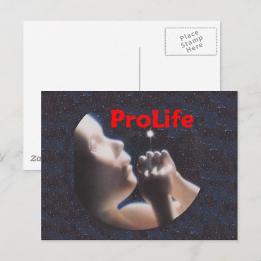 ProLifeはがき ポストカード (正面/裏面)