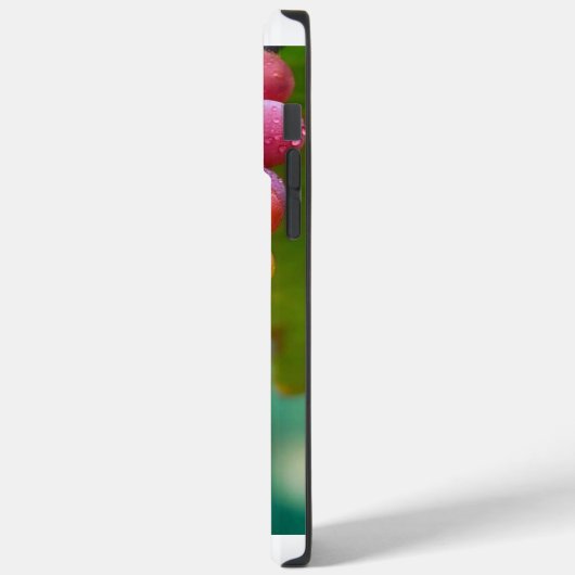 「ProMax Armor: iPhoneのプレミアム保護 Case-Mate iPhoneケース (裏面 / 左)