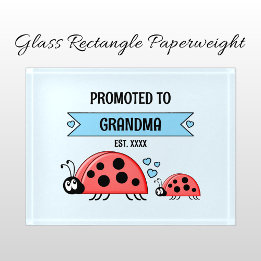 Promoted to Grandma ladybugs blue ペーパーウェイト