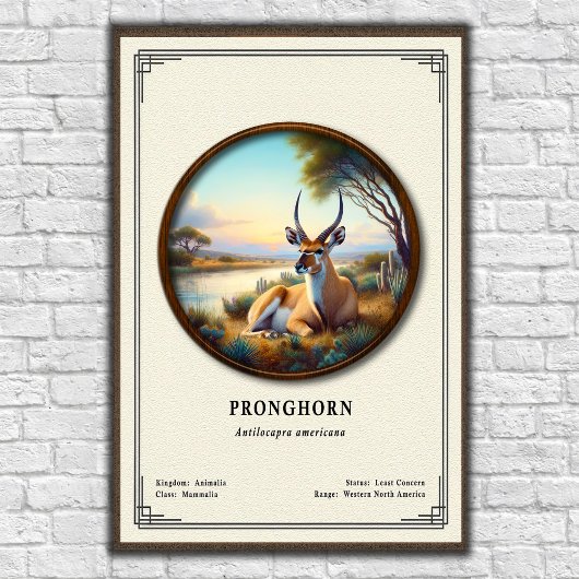 Pronghorn (American Antelope) Zoology Series ポスター