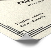 Pronghorn (American Antelope) Zoology Series ポスター (角)