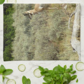 Pronghorn at Grand Teton National Park キッチンタオル (折り畳み)