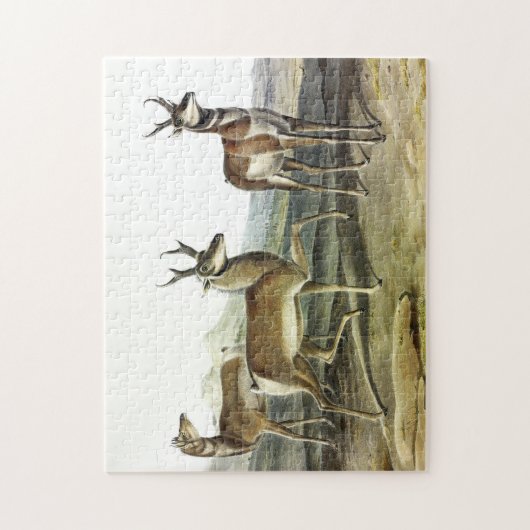 Pronghorn (Pronghorned Antelope) by Audubon ジグソーパズル (縦)