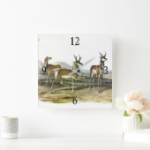 Pronghorn (Pronghorned Antelope) by Audubon スクエア壁時計 (ホーム)
