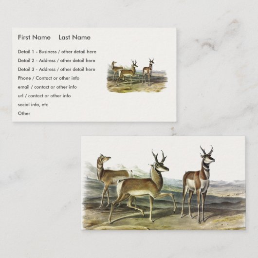 Pronghorn (Pronghorned Antelope) by Audubon 名刺 (正面/裏面)