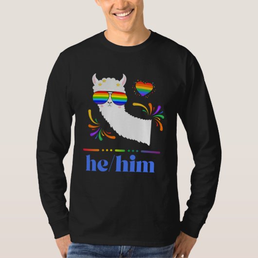 Pronouns He Him Gay Pride Rainbow Groovy Lllama Re Tシャツ (正面)