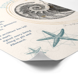 Proof seashell nautilus fibonacci design ポスター