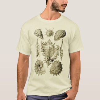 Prosobranchia Tシャツ