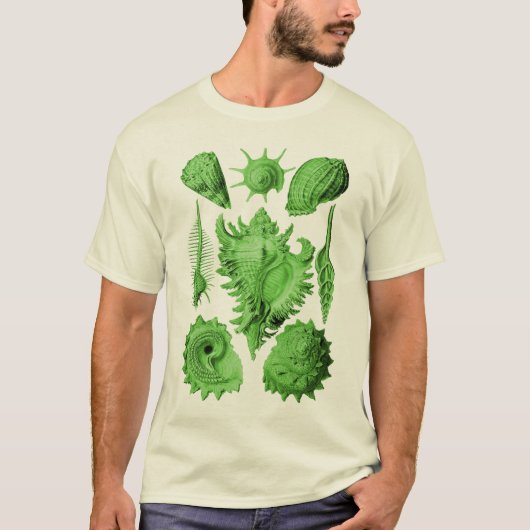 Prosobranchia Tシャツ (正面)