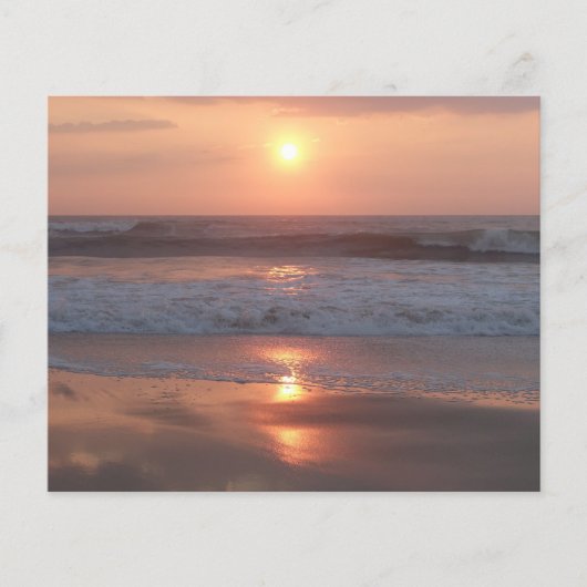 Prospectus Coucher de soleil rose sur la plage チラシ (正面)