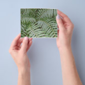 Prospectus Fougère verte チラシ (手)