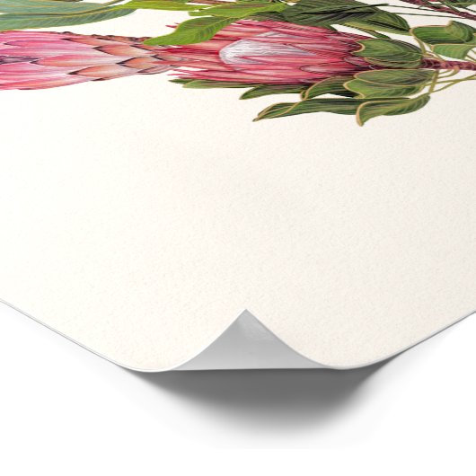 Proteaポスター（小） ポスター (角)