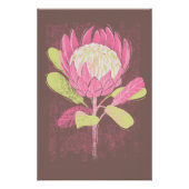 Protea ポスター (正面)
