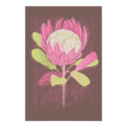 Protea ポスター (正面)