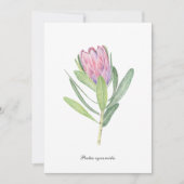 Protea cynaroides 招待状 (正面)