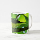 Prothonotaryのアメリカムシクイのコーヒー・マグ コーヒーマグカップ (正面右)