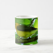 Prothonotaryのアメリカムシクイのコーヒー・マグ コーヒーマグカップ (中央)