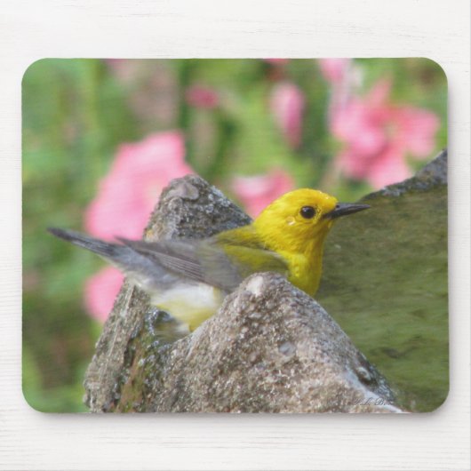 ProthonotaryのBathのマウスパッド マウスパッド (正面)