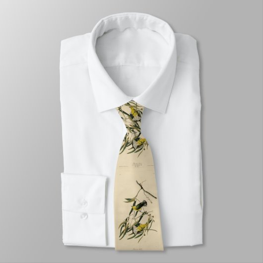 Prothonotary Warbler - Audubon's Birds of America ネクタイ (タイ)