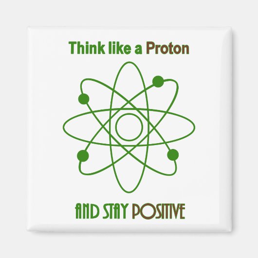 Proton マグネット (正面)