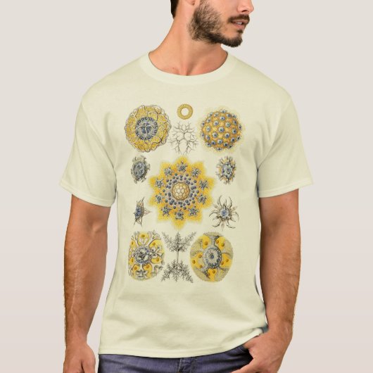 Protozoans Tシャツ (正面)