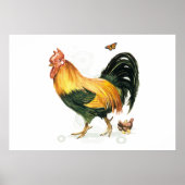 Proud Rooster with hen and chickens. ポスター (正面)