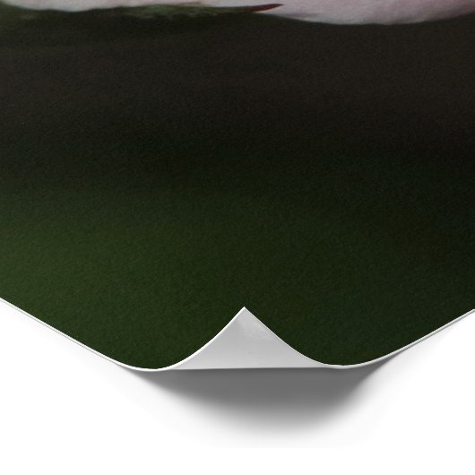 Proverbios 31:30カルテル ポスター (角)