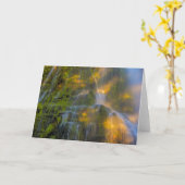 Proxy Falls Three Sisters Wilderness Oregon カード (黄色い花)