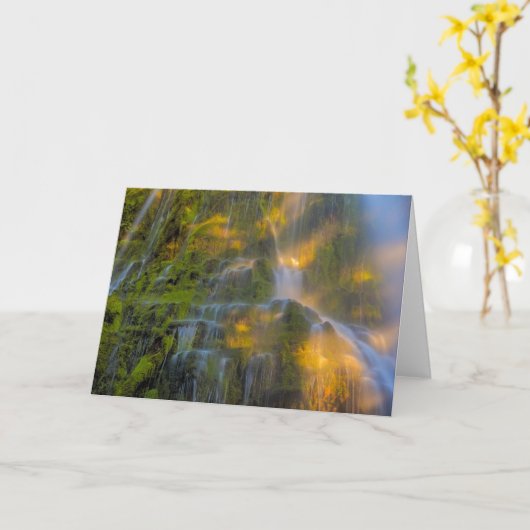 Proxy Falls Three Sisters Wilderness Oregon カード (黄色い花)