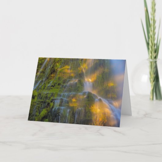 Proxy Falls Three Sisters Wilderness Oregon カード (正面)