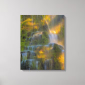 Proxy Falls Three Sisters Wilderness Oregon キャンバスプリント (正面)
