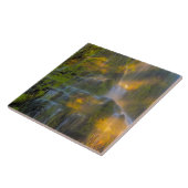 Proxy Falls Three Sisters Wilderness Oregon タイル (側面)