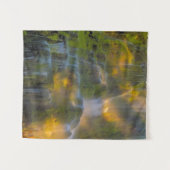 Proxy Falls Three Sisters Wilderness Oregon タペストリー (正面(横))