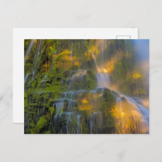 Proxy Falls Three Sisters Wilderness Oregon ポストカード (正面/裏面)