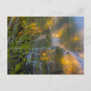 Proxy Falls Three Sisters Wilderness Oregon ポストカード