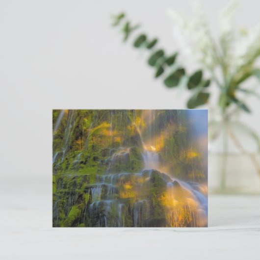 Proxy Falls Three Sisters Wilderness Oregon ポストカード (スタンド正面)