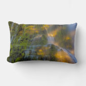 Proxy Falls Three Sisters Wilderness Oregon ランバークッション (正面)