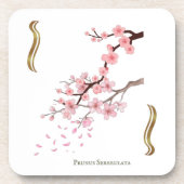 Prunus Serrulata T dessous de verre コースター (正面)
