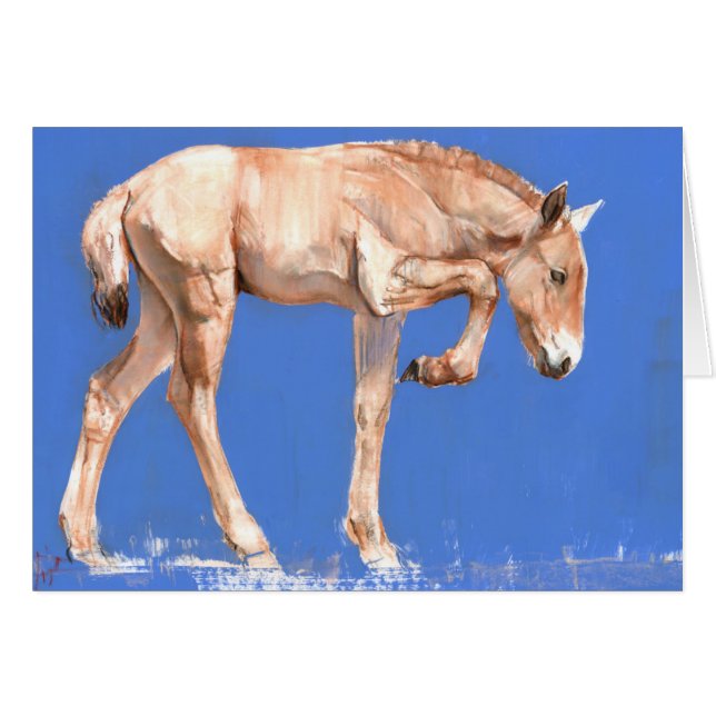 Przewalskiの子馬2012年 (正面横)