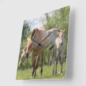 Przewalskiの馬および子馬の歩く スクエア壁時計 (傾斜)