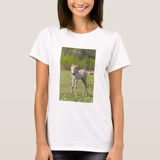 Przewalskiの馬の子馬、ハンガリー Tシャツ (正面)