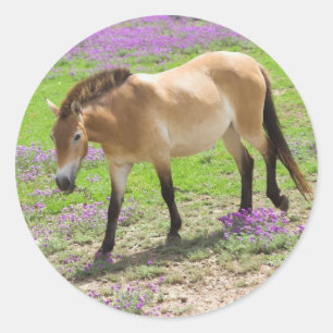 Przewalskiの馬 ラウンドシール