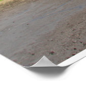 Psalm 1聖なる書物、 経典ポスター（水平表示） ポスター (角)