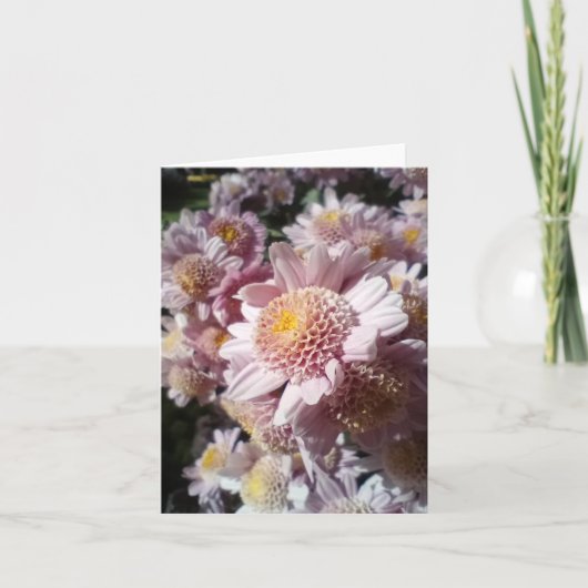 Psalm 118:14 Blank Card カード (正面)