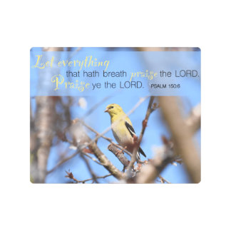 Psalm 150:6 – ゴールドフィンチ メタルプリント