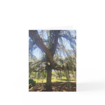 Psalm 1:1-3 Blank Card